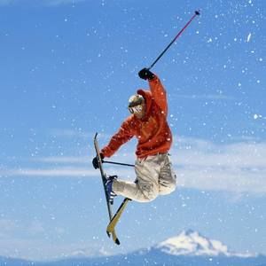 Meet your Posher, Gomer